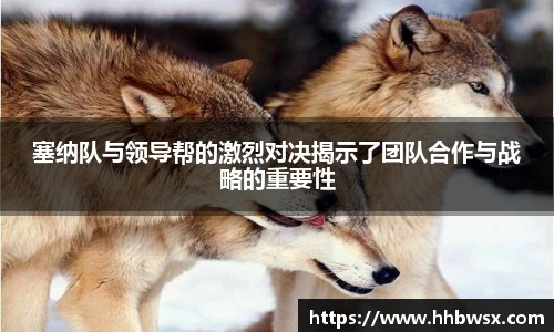 哈哈体育